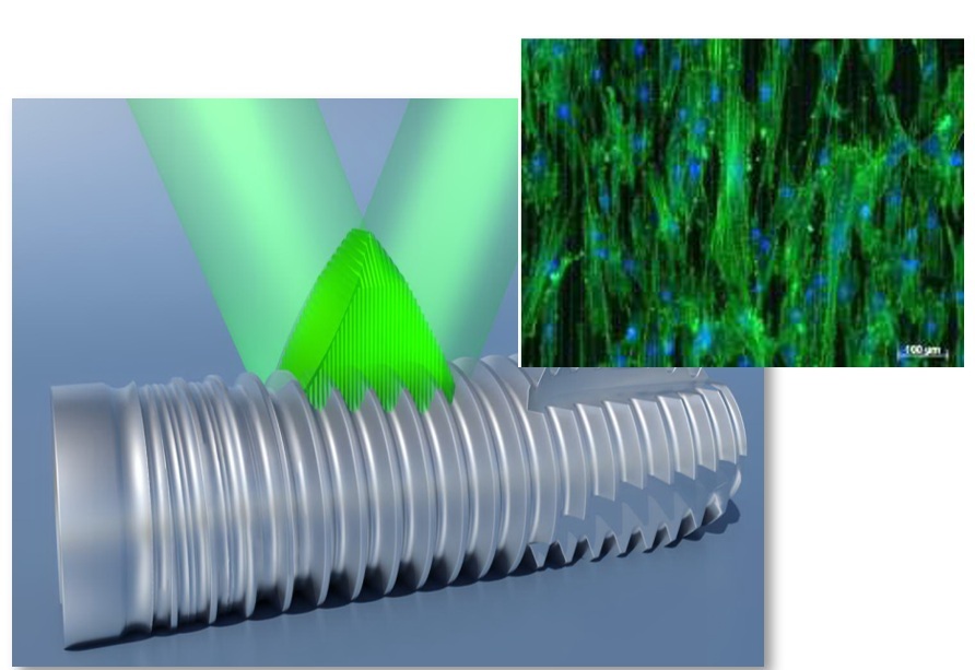 微細周期構造による細胞制御